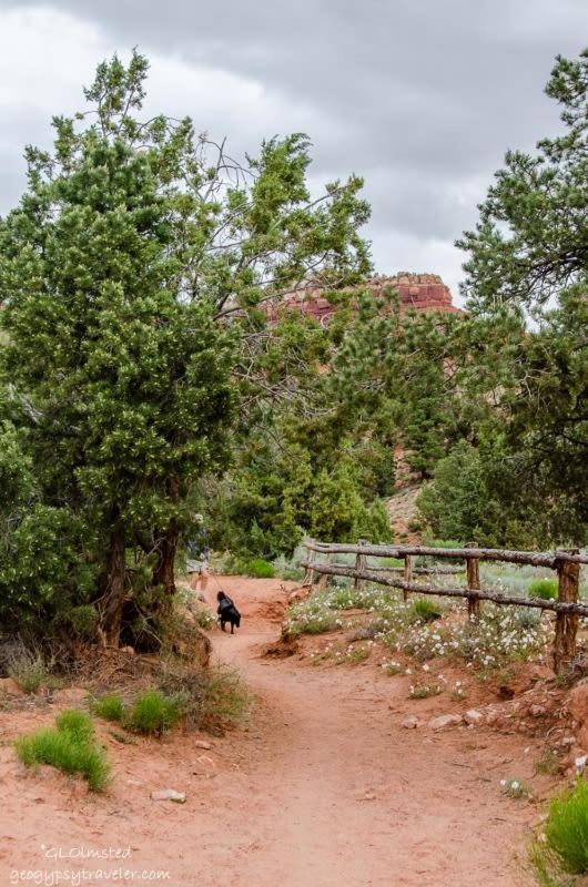Timber & Tin F 2Bed 2Bath W Pool & Rooftop Deck Kanab Exterior photo